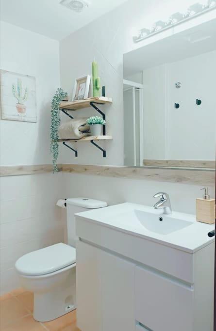 Rincon Del Delta, Apartamento En El Delta Del Ebro, Playa Trabucador Amposta, Tarragona L'Eucaliptus Εξωτερικό φωτογραφία