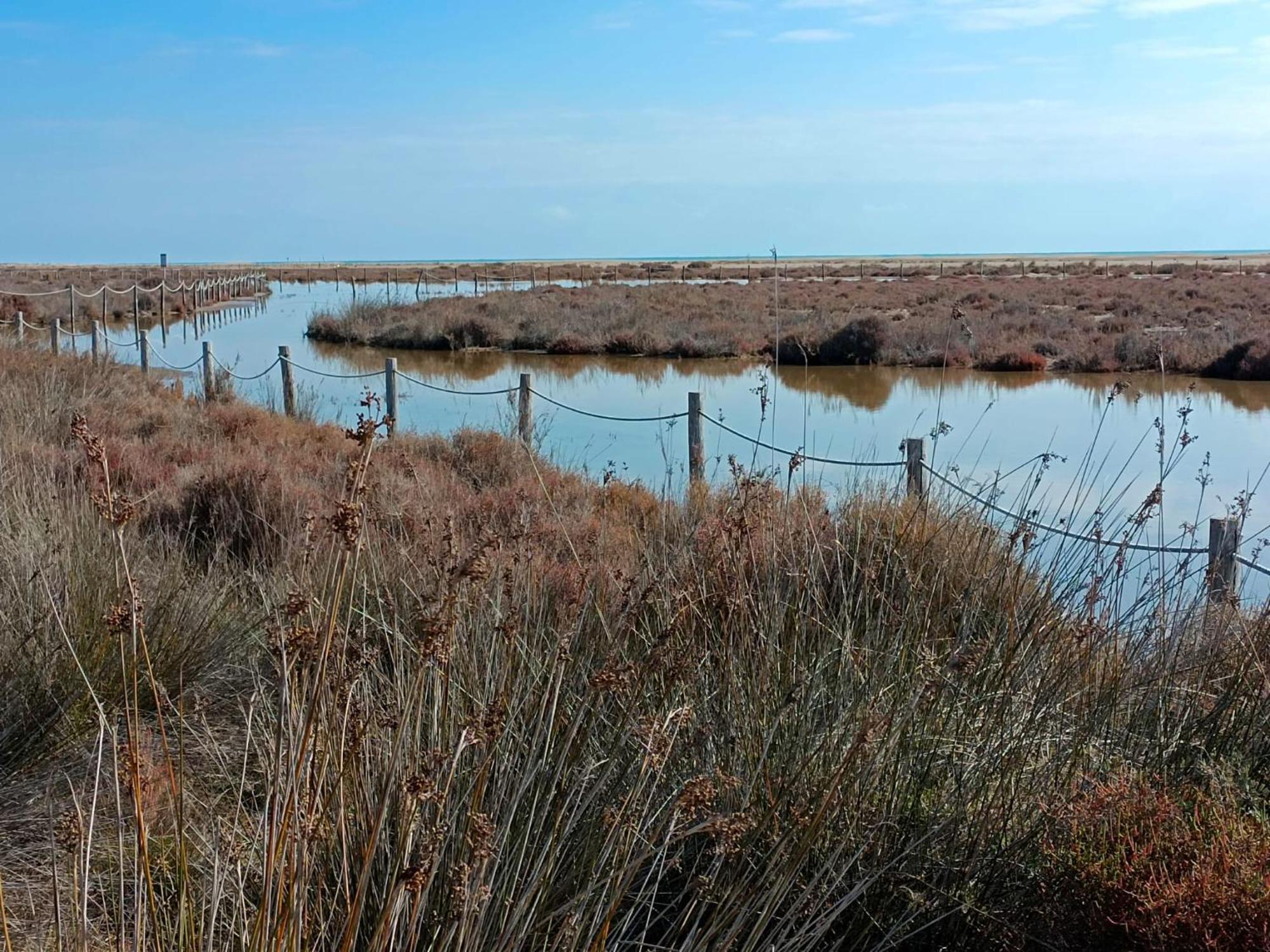 Rincon Del Delta, Apartamento En El Delta Del Ebro, Playa Trabucador Amposta, Tarragona L'Eucaliptus Εξωτερικό φωτογραφία
